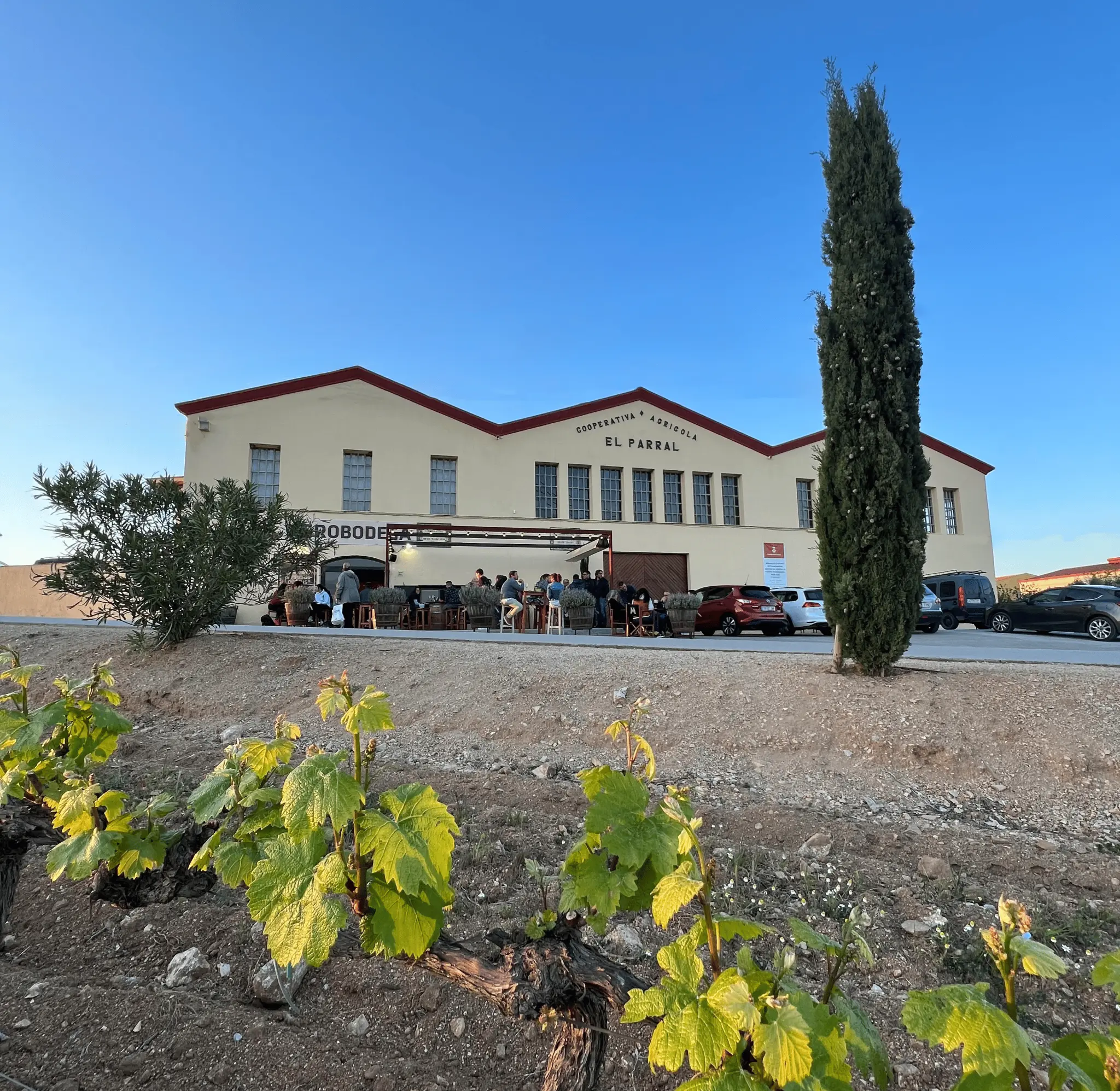 Museu VIVENT & Tast de vins al Parral