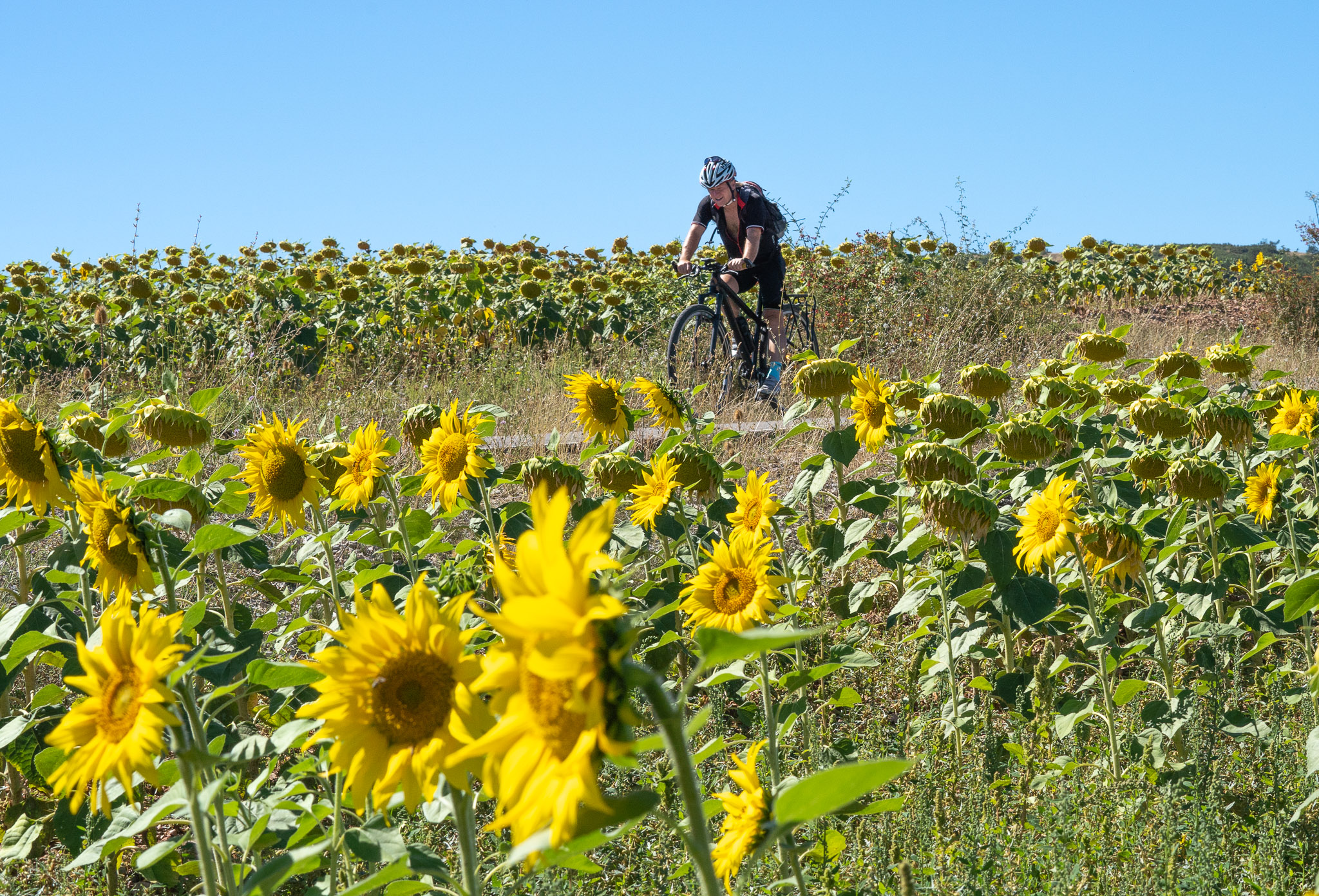 Ruta en bicicleta entre els pobles de l'Alt Empordà i brunch amb productes de la zona